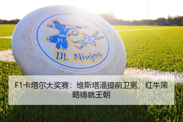 F1卡塔尔大奖赛：维斯塔潘提前卫冕，红牛策略铸就王朝